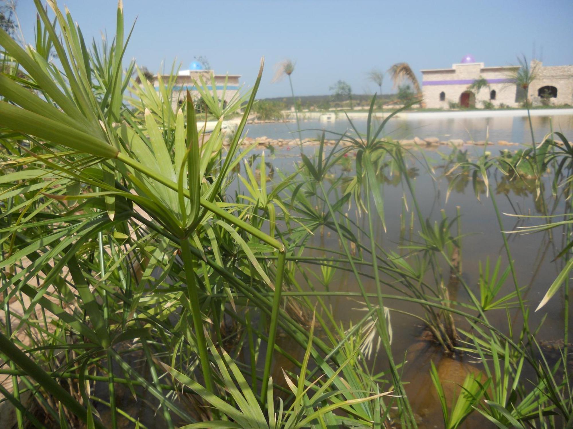 Douar Noujoum Bed & Breakfast Essaouira Ngoại thất bức ảnh