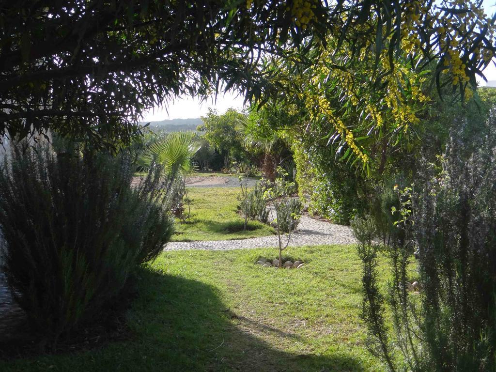 Douar Noujoum Bed & Breakfast Essaouira Ngoại thất bức ảnh